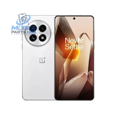 OnePlus 13