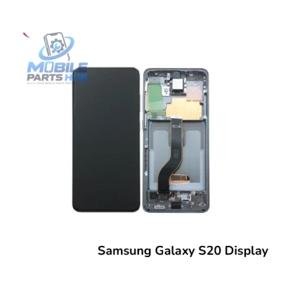 Original Samsung Galaxy S20 Display